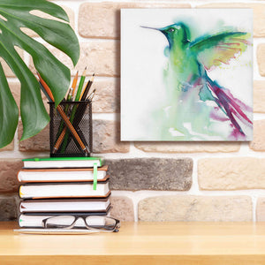 'Hummingbirds III' by Alan Majchrowicz, Giclee Canvas Wall Art,12x12