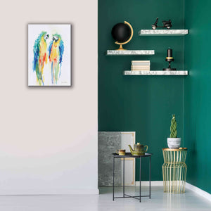'Colorful Parrots I' by Alan Majchrowicz, Giclee Canvas Wall Art,18x26