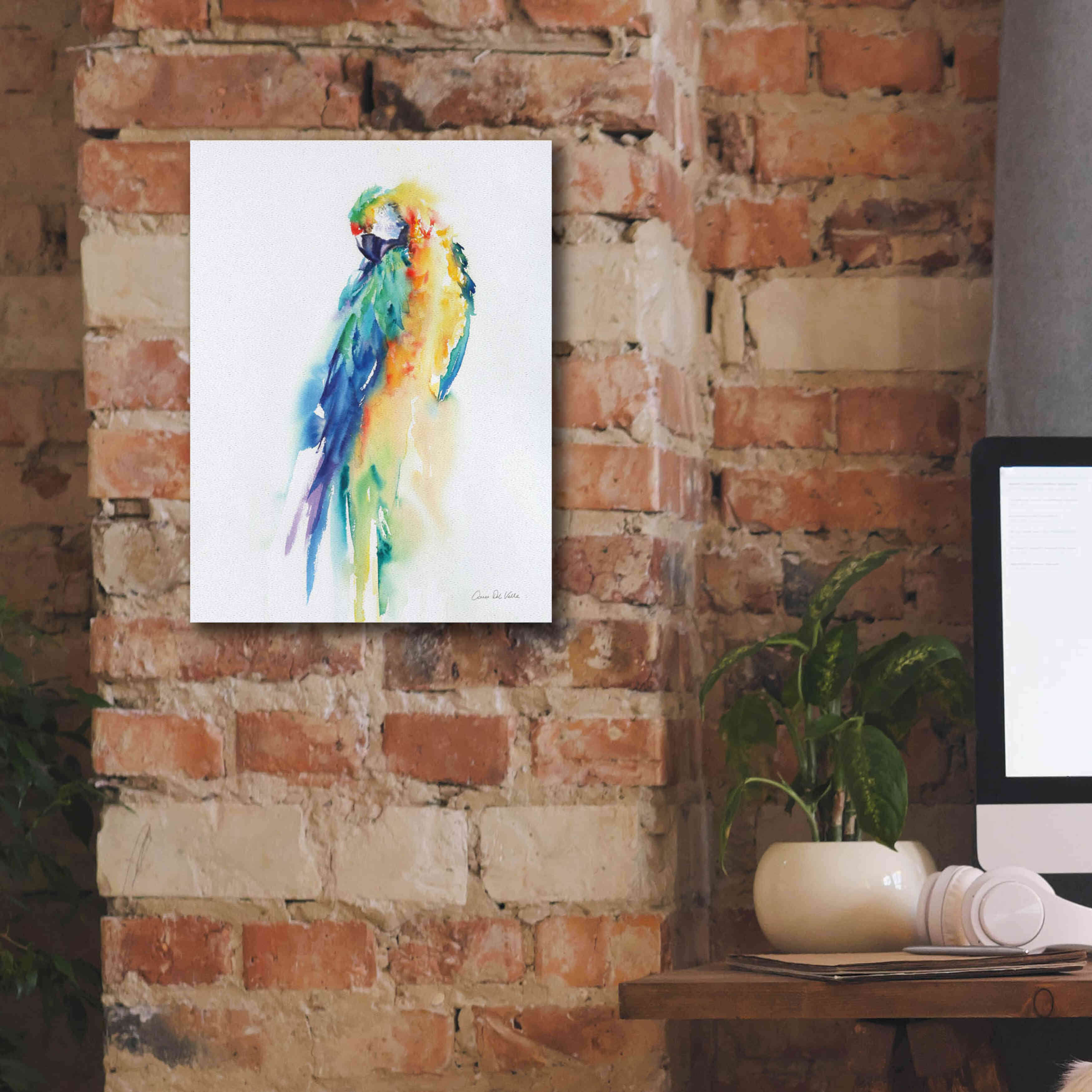 'Colorful Parrots II' by Alan Majchrowicz, Giclee Canvas Wall Art,12x16