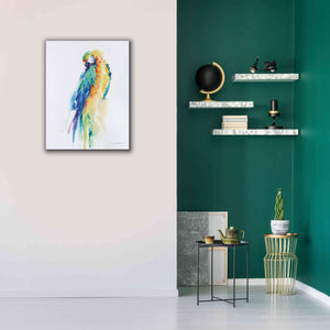 'Colorful Parrots II' by Alan Majchrowicz, Giclee Canvas Wall Art,26x34