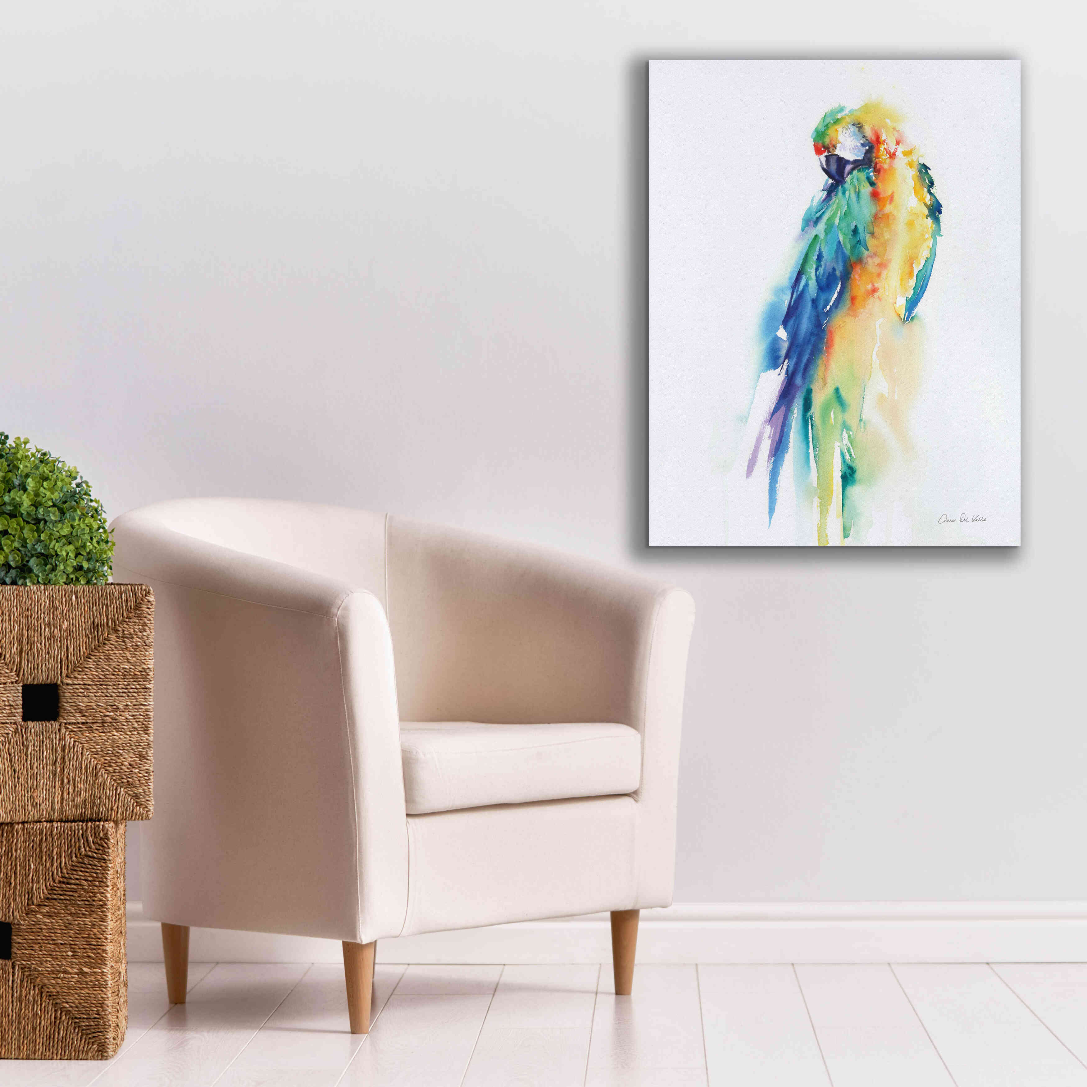 'Colorful Parrots II' by Alan Majchrowicz, Giclee Canvas Wall Art,26x34