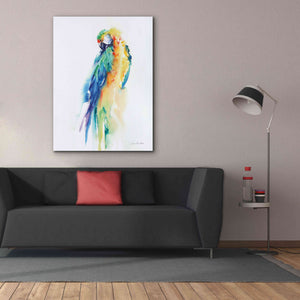 'Colorful Parrots II' by Alan Majchrowicz, Giclee Canvas Wall Art,40x54