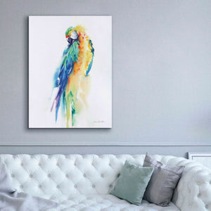 'Colorful Parrots II' by Alan Majchrowicz, Giclee Canvas Wall Art,40x54