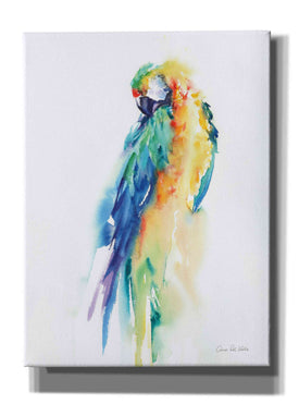 'Colorful Parrots II' by Alan Majchrowicz, Giclee Canvas Wall Art