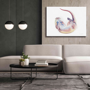 'Swimming Otter II' by Alan Majchrowicz, Giclee Canvas Wall Art,54x40