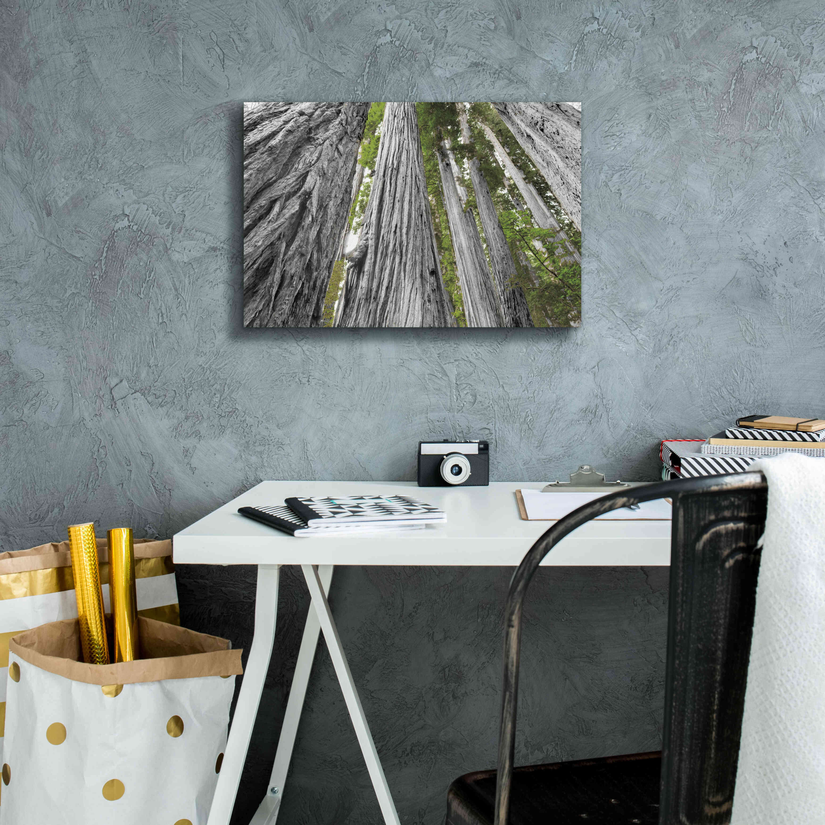 'Redwoods Forest IV BW With Color' by Alan Majchrowicz, Giclee Canvas Wall Art,18x12