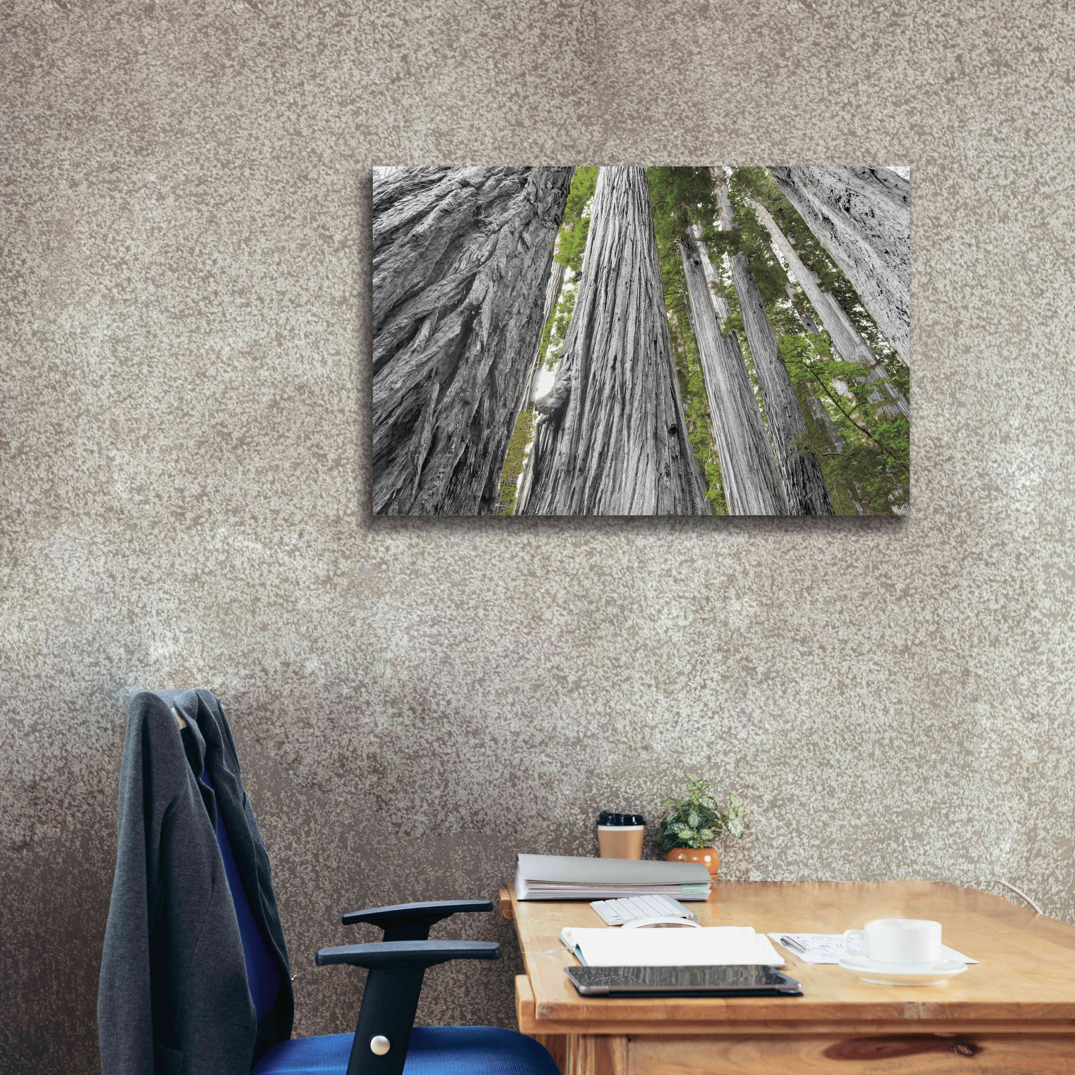 'Redwoods Forest IV BW With Color' by Alan Majchrowicz, Giclee Canvas Wall Art,40x26