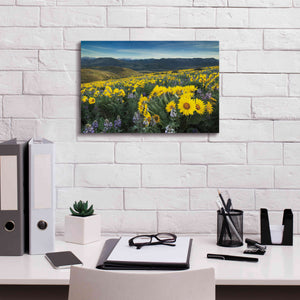 'Methow Valley Wildflowers IV' by Alan Majchrowicz, Giclee Canvas Wall Art,18x12