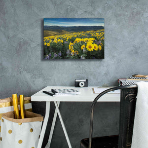 'Methow Valley Wildflowers IV' by Alan Majchrowicz, Giclee Canvas Wall Art,18x12