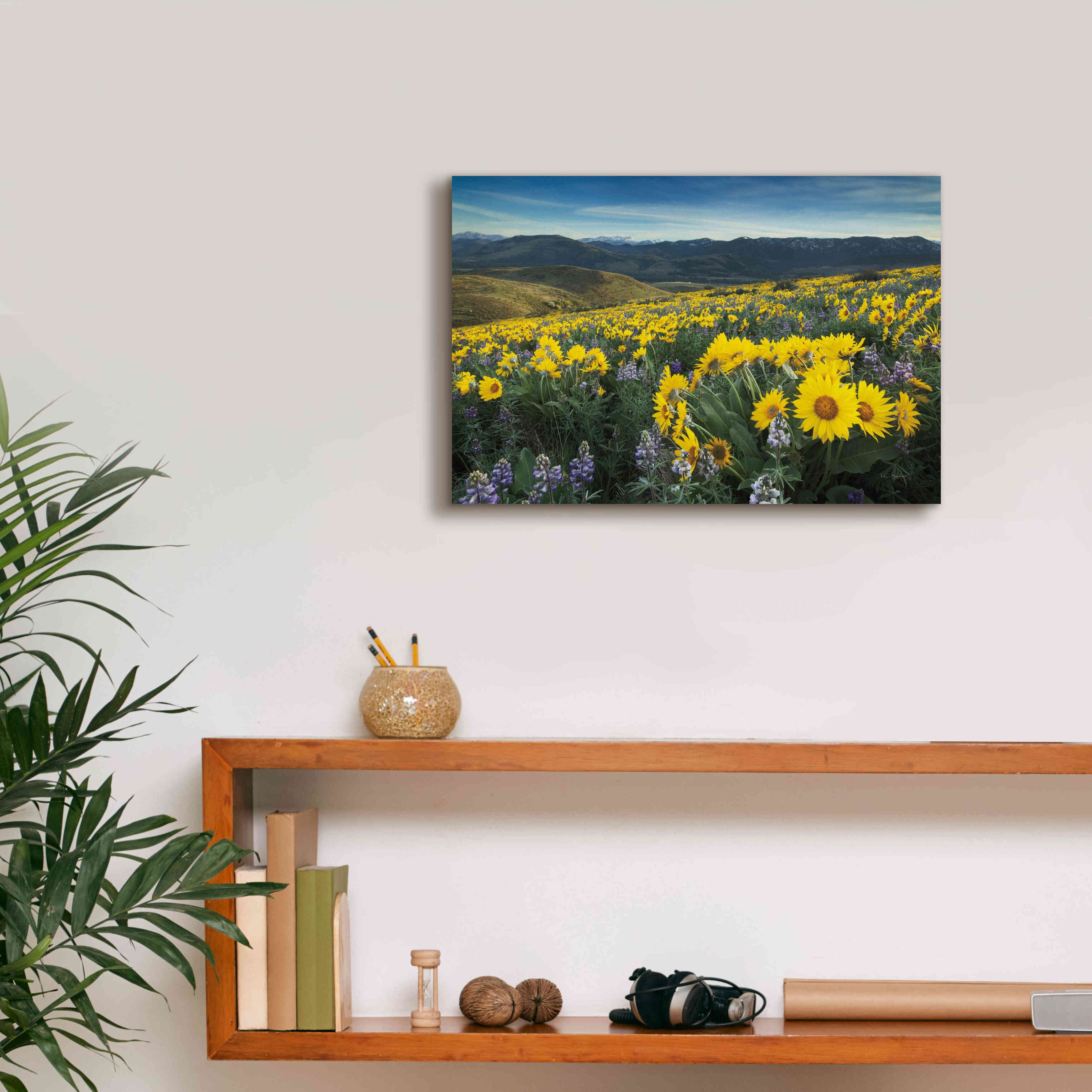 'Methow Valley Wildflowers IV' by Alan Majchrowicz, Giclee Canvas Wall Art,18x12