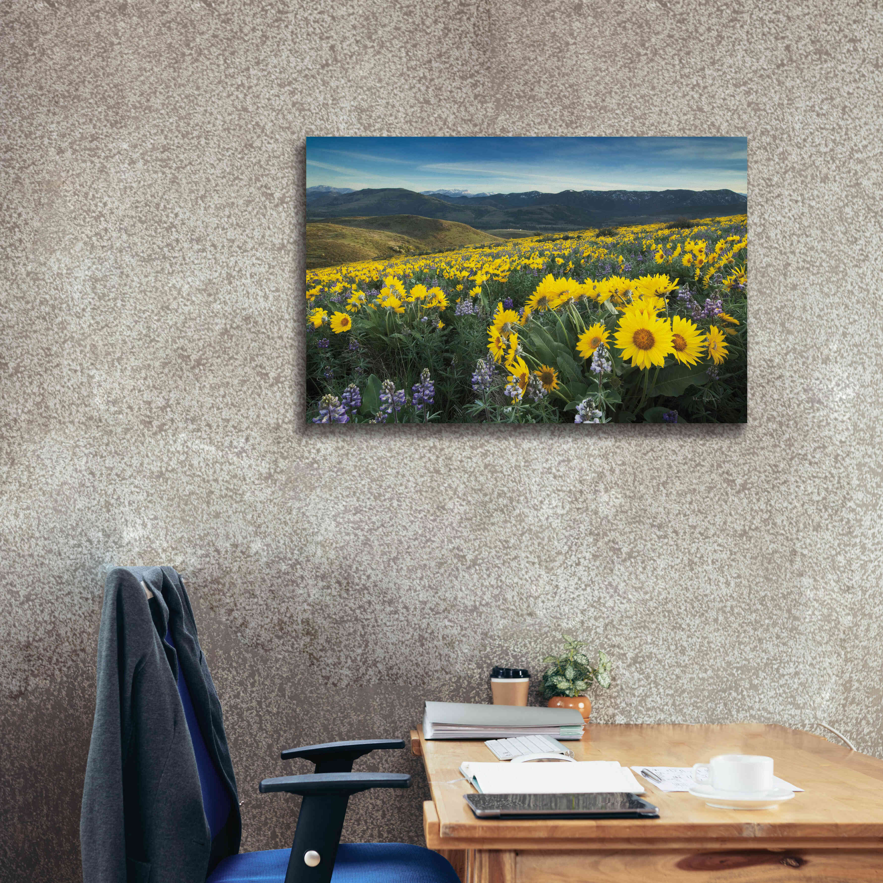 'Methow Valley Wildflowers IV' by Alan Majchrowicz, Giclee Canvas Wall Art,40x26