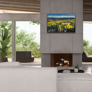 'Methow Valley Wildflowers IV' by Alan Majchrowicz, Giclee Canvas Wall Art,40x26