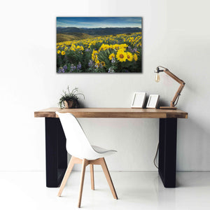 'Methow Valley Wildflowers IV' by Alan Majchrowicz, Giclee Canvas Wall Art,40x26
