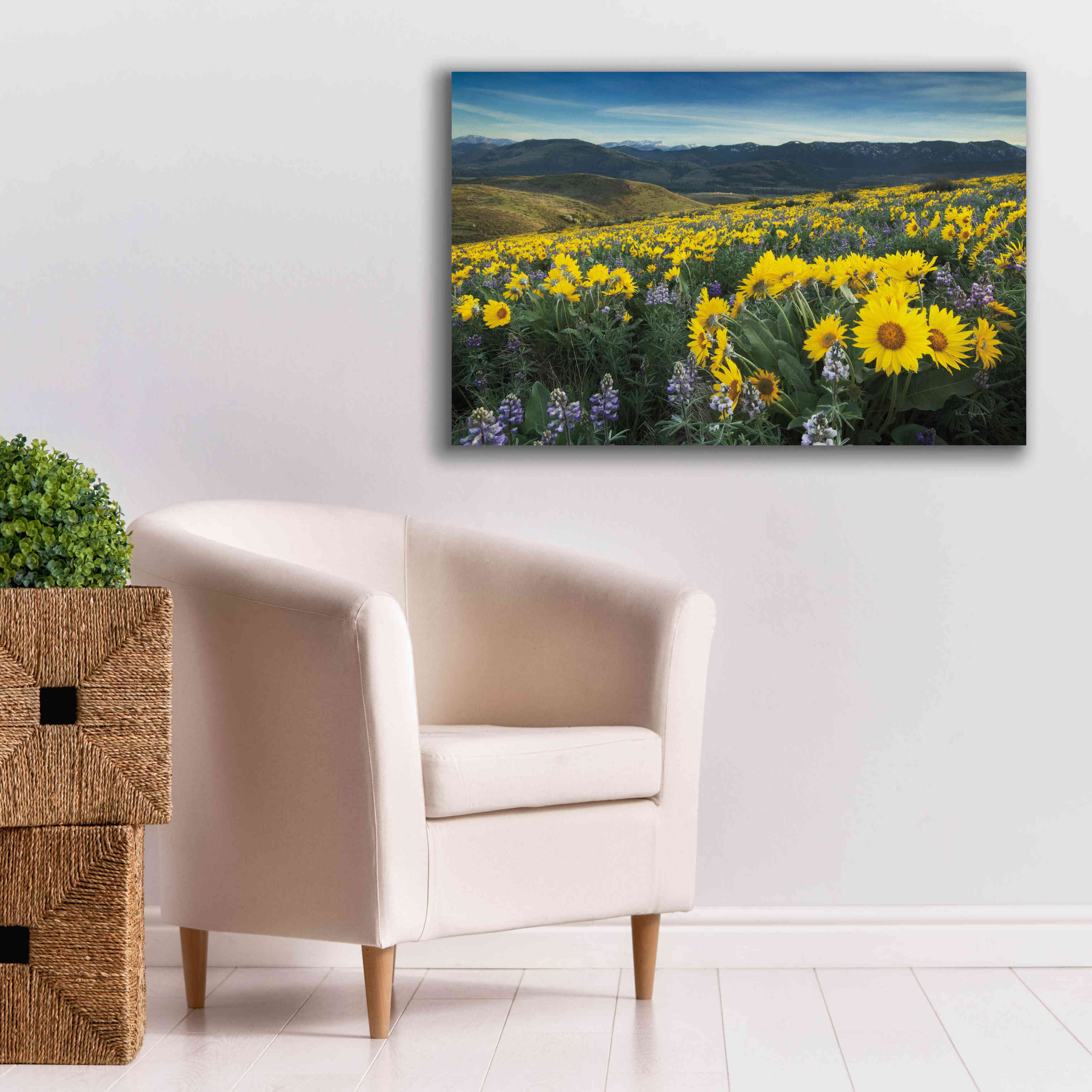 'Methow Valley Wildflowers IV' by Alan Majchrowicz, Giclee Canvas Wall Art,40x26