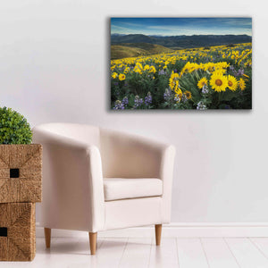 'Methow Valley Wildflowers IV' by Alan Majchrowicz, Giclee Canvas Wall Art,40x26