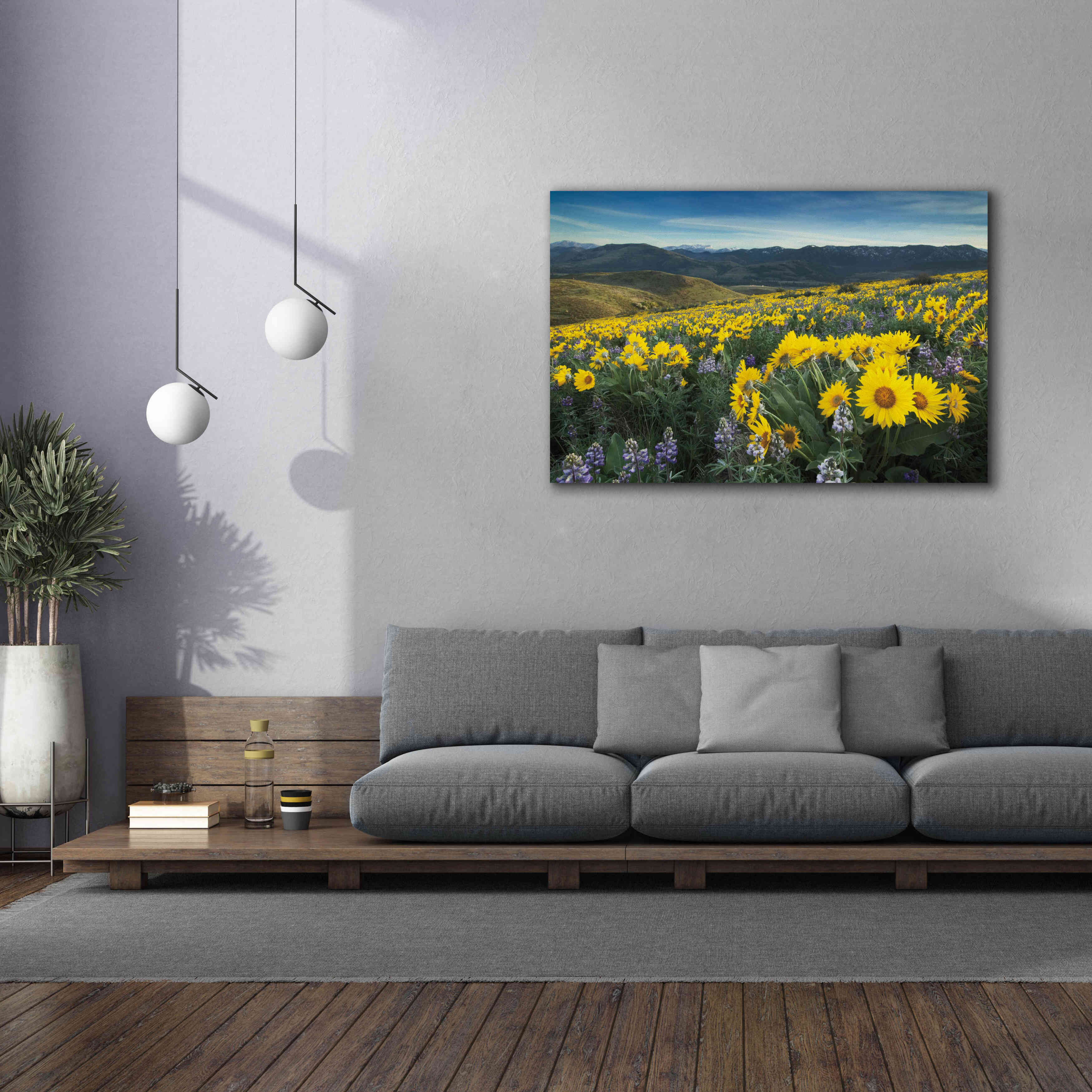 'Methow Valley Wildflowers IV' by Alan Majchrowicz, Giclee Canvas Wall Art,60x40