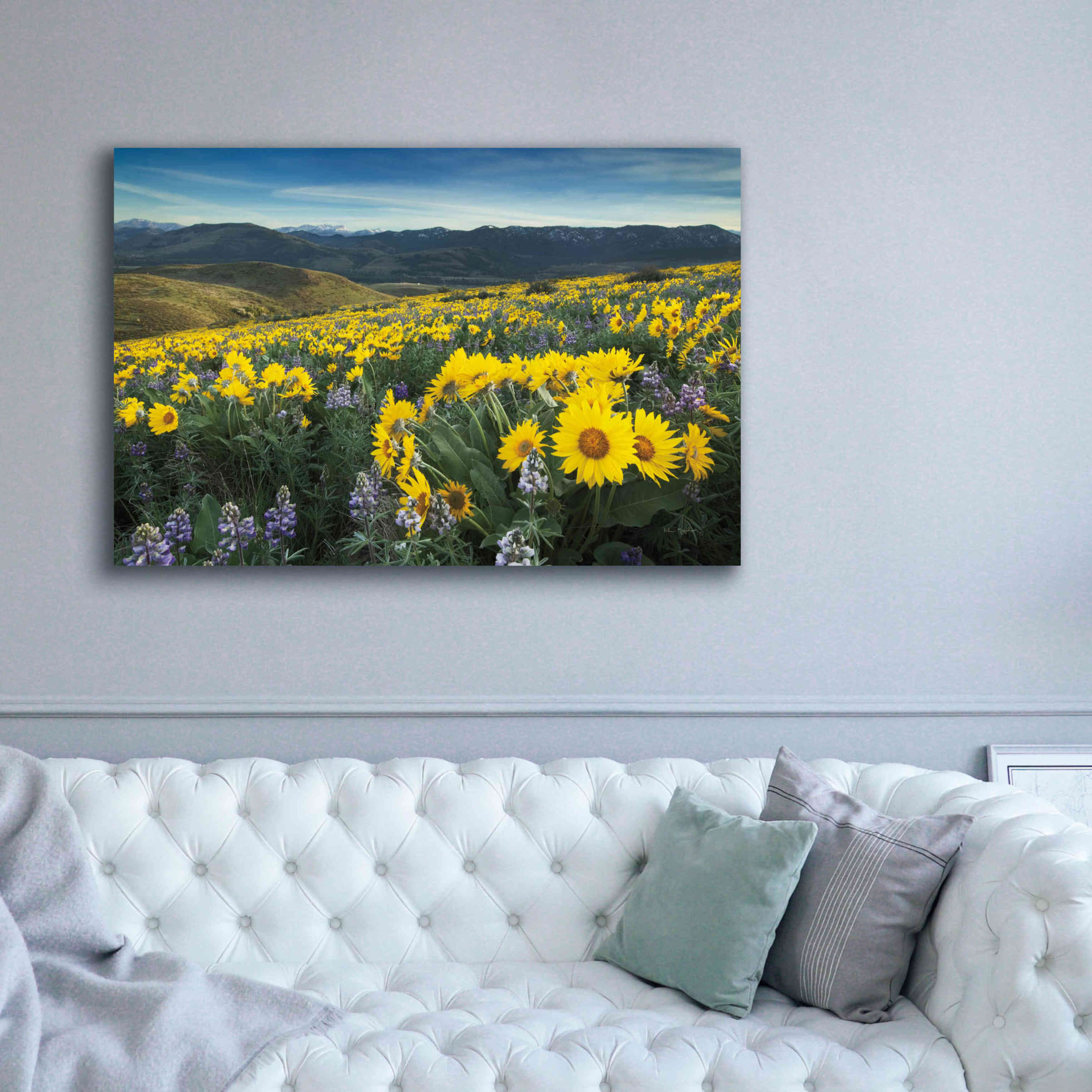 'Methow Valley Wildflowers IV' by Alan Majchrowicz, Giclee Canvas Wall Art,60x40