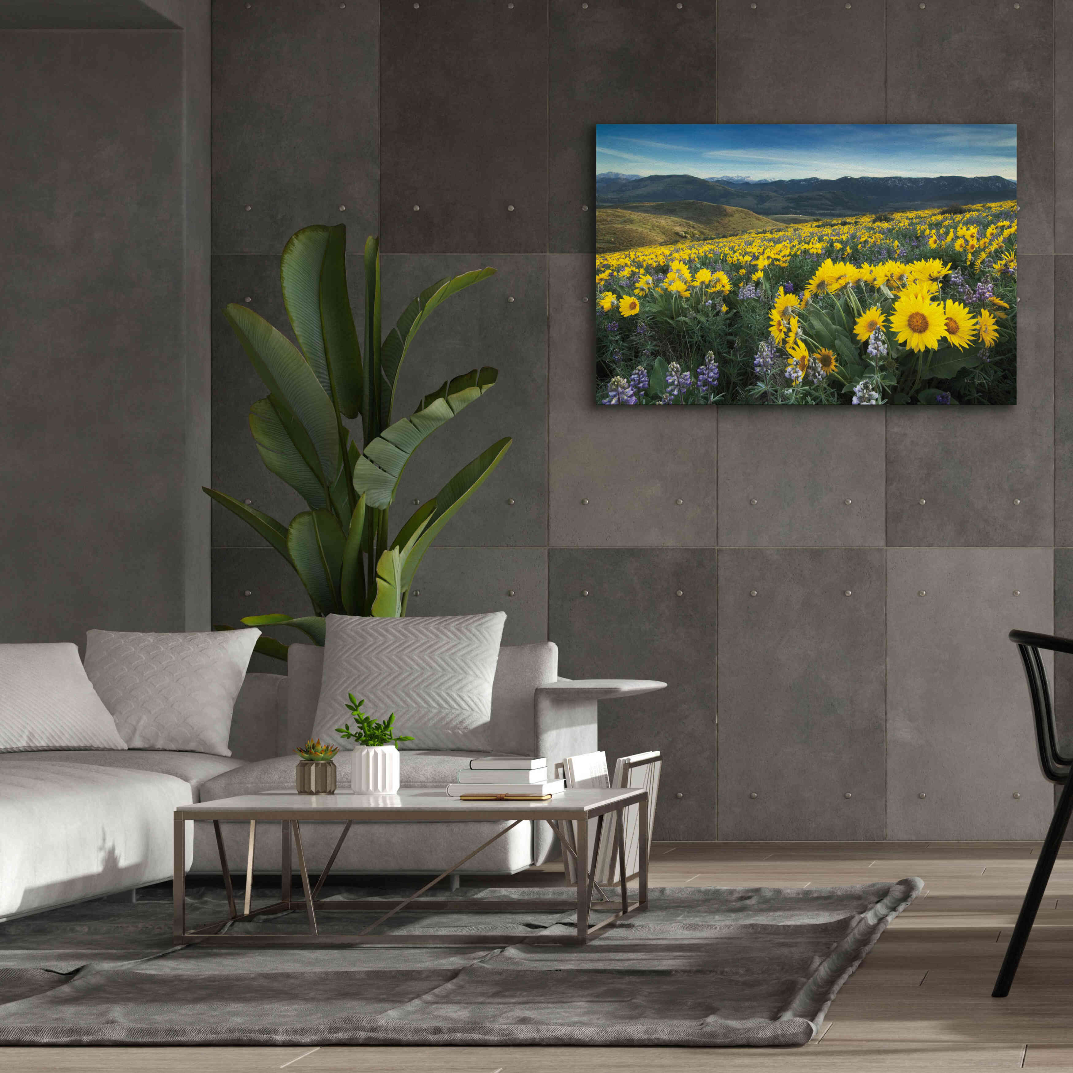 'Methow Valley Wildflowers IV' by Alan Majchrowicz, Giclee Canvas Wall Art,60x40