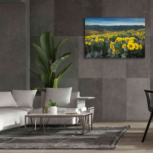 'Methow Valley Wildflowers IV' by Alan Majchrowicz, Giclee Canvas Wall Art,60x40