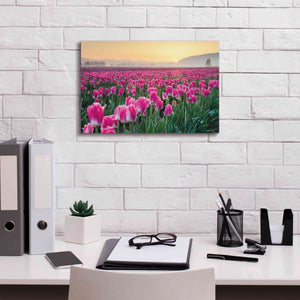 'Skagit Valley Tulips I' by Alan Majchrowicz, Giclee Canvas Wall Art,18x12