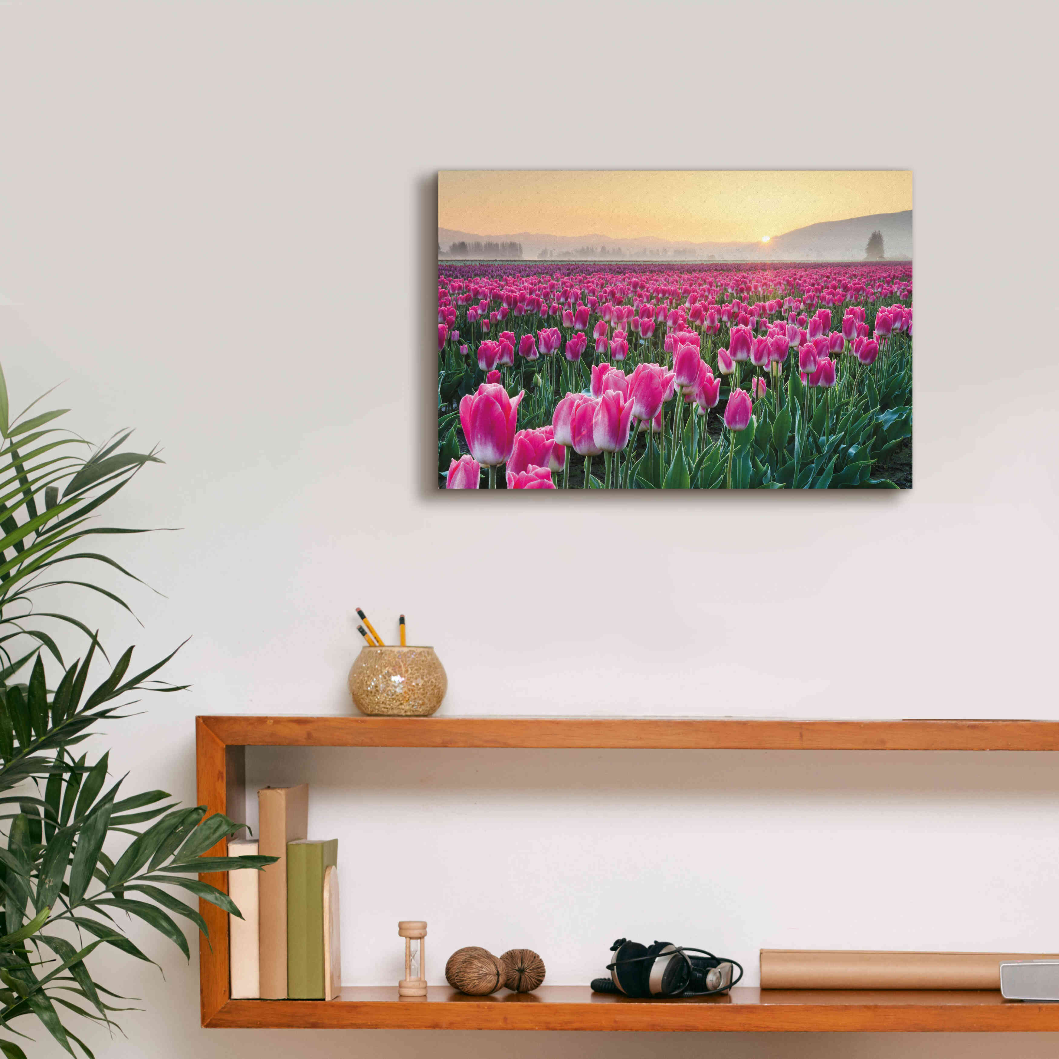'Skagit Valley Tulips I' by Alan Majchrowicz, Giclee Canvas Wall Art,18x12
