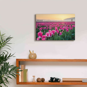 'Skagit Valley Tulips I' by Alan Majchrowicz, Giclee Canvas Wall Art,18x12