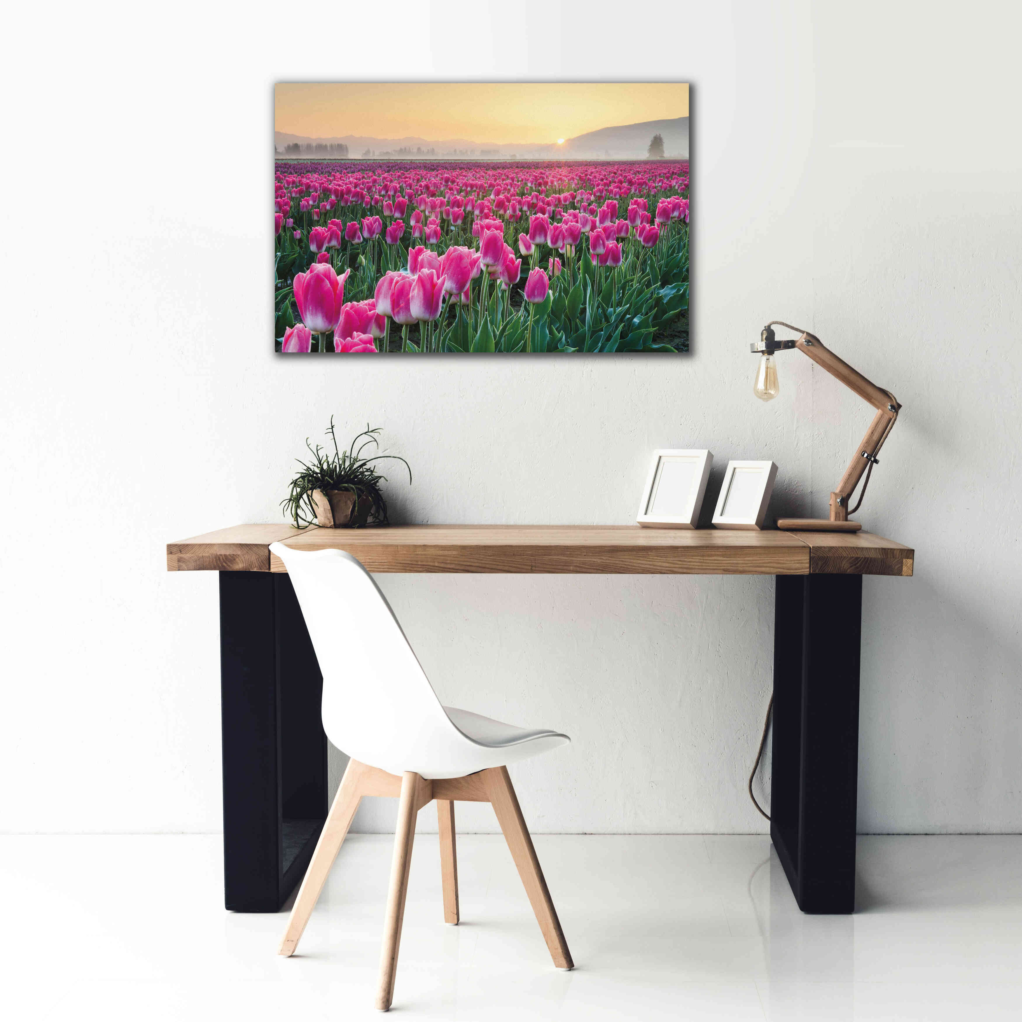 'Skagit Valley Tulips I' by Alan Majchrowicz, Giclee Canvas Wall Art,40x26