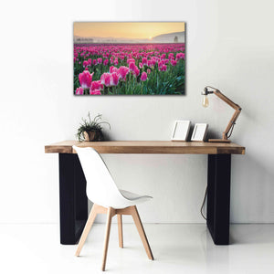 'Skagit Valley Tulips I' by Alan Majchrowicz, Giclee Canvas Wall Art,40x26