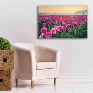 'Skagit Valley Tulips I' by Alan Majchrowicz, Giclee Canvas Wall Art,40x26