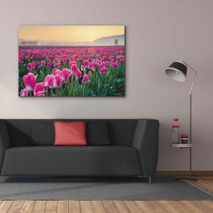 'Skagit Valley Tulips I' by Alan Majchrowicz, Giclee Canvas Wall Art,60x40