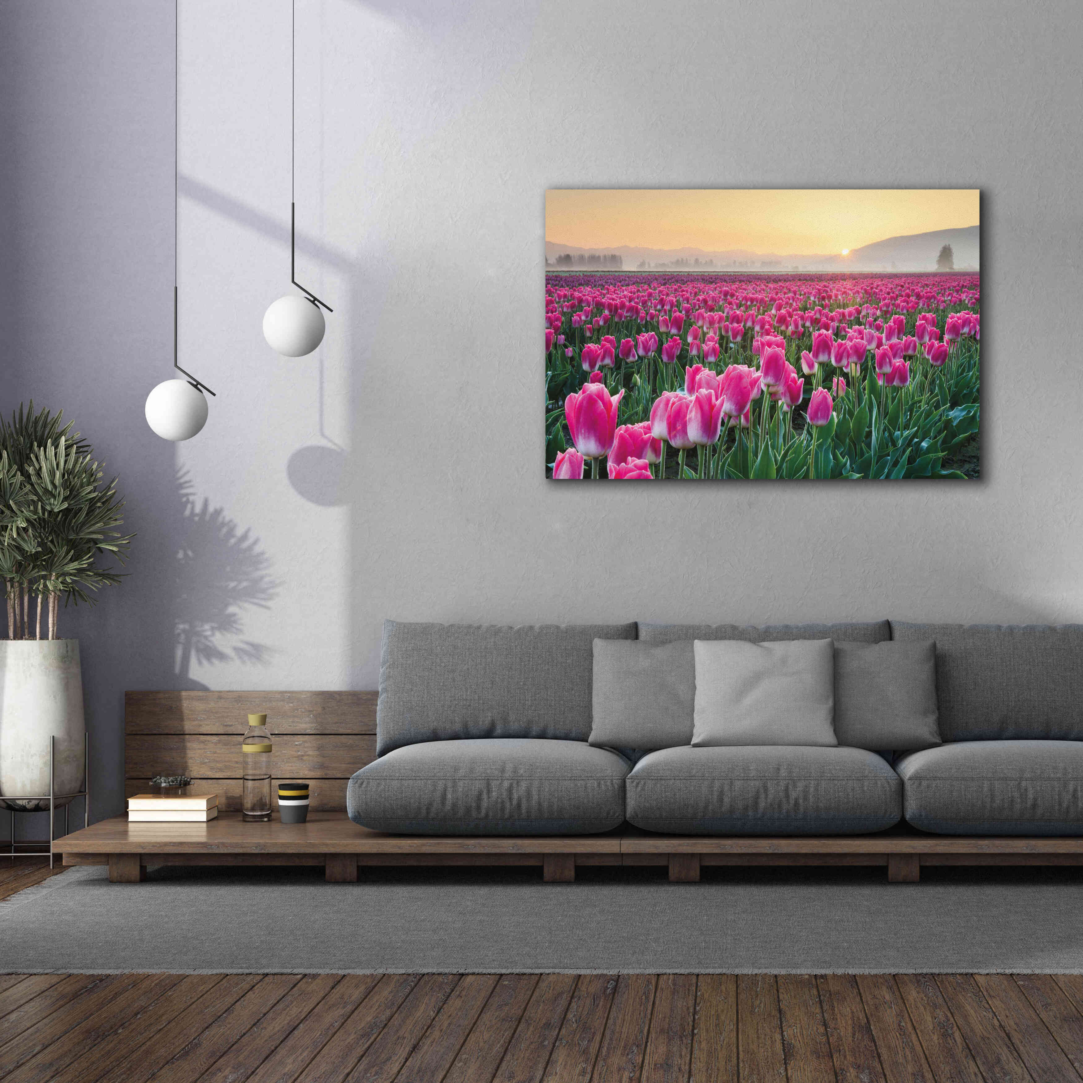 'Skagit Valley Tulips I' by Alan Majchrowicz, Giclee Canvas Wall Art,60x40