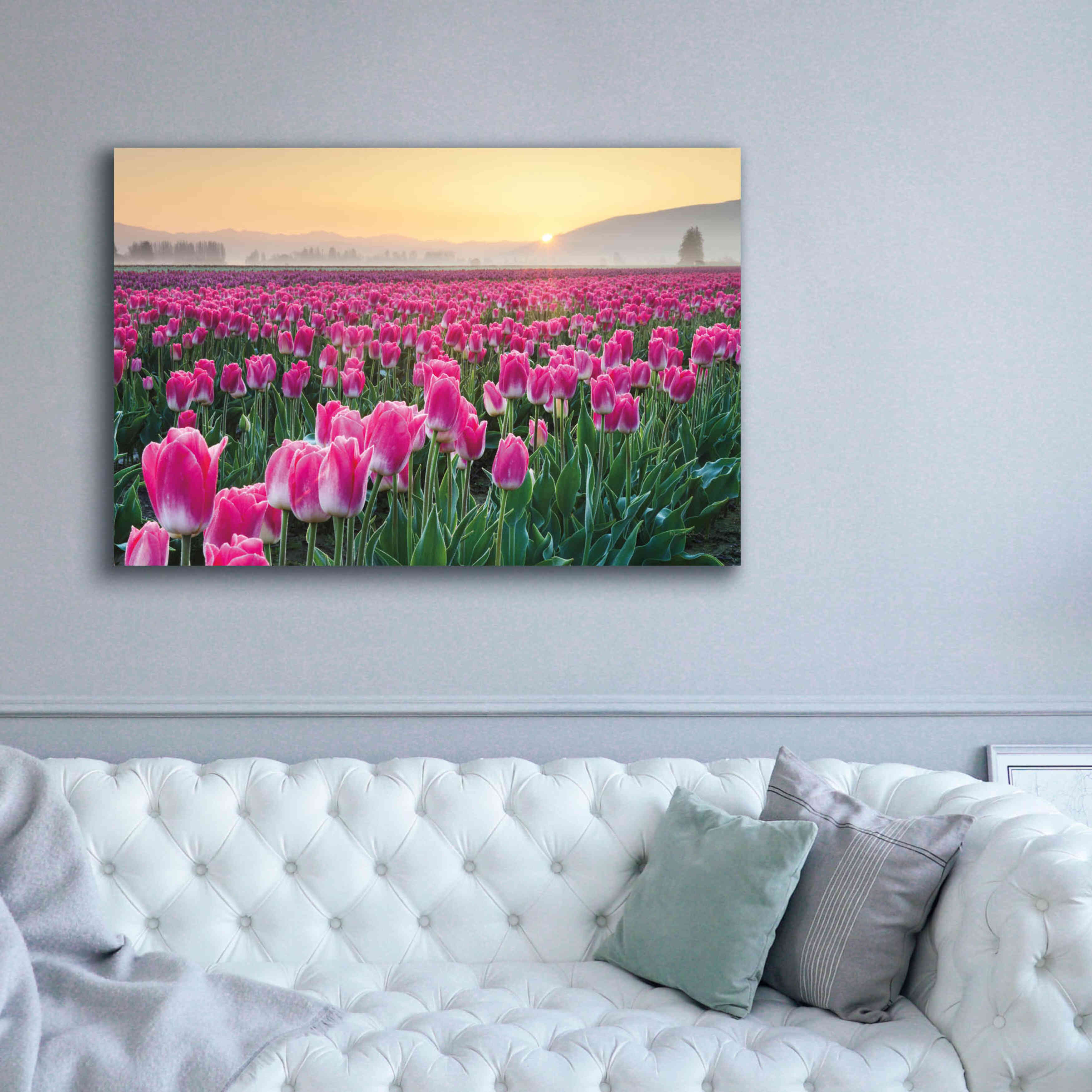 'Skagit Valley Tulips I' by Alan Majchrowicz, Giclee Canvas Wall Art,60x40