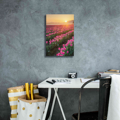 Image of 'Skagit Valley Tulips II' by Alan Majchrowicz,Giclee Canvas Wall Art,12x18