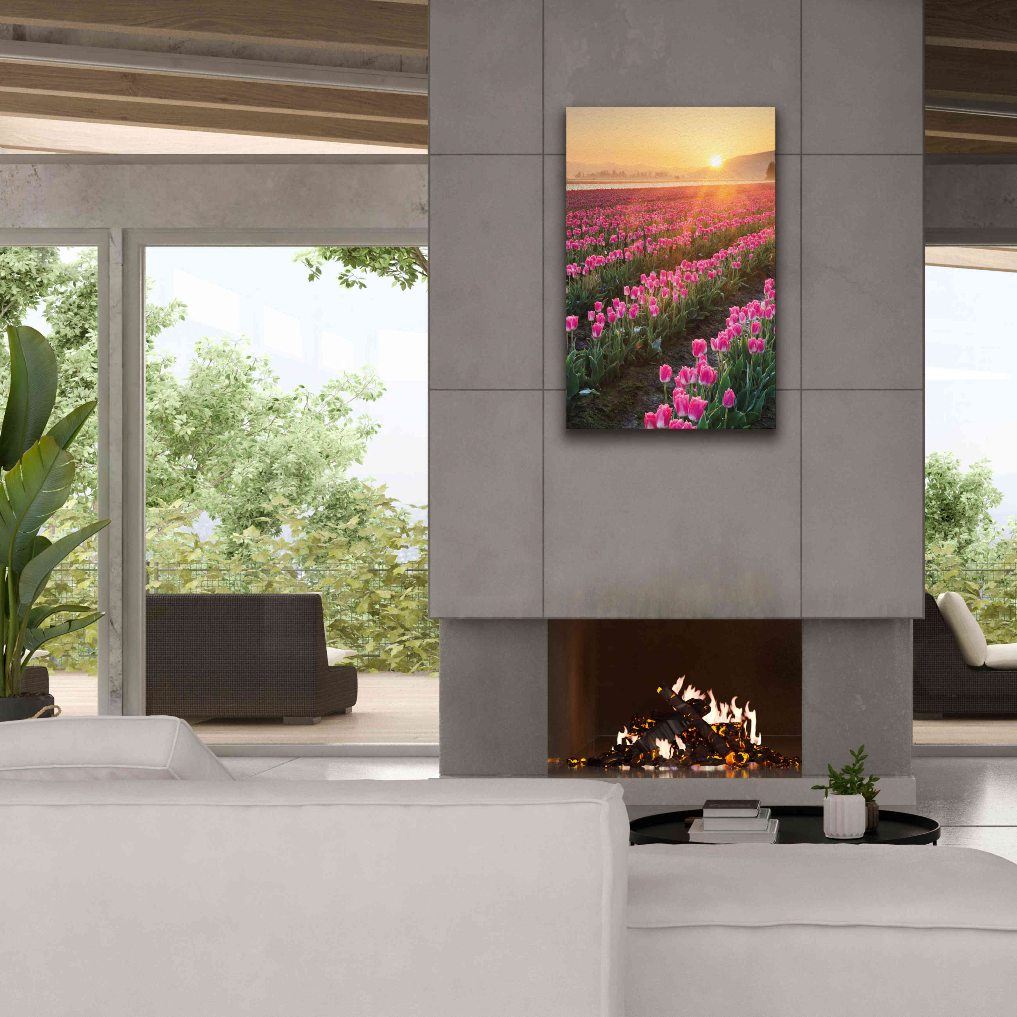 'Skagit Valley Tulips II' by Alan Majchrowicz,Giclee Canvas Wall Art,26x40