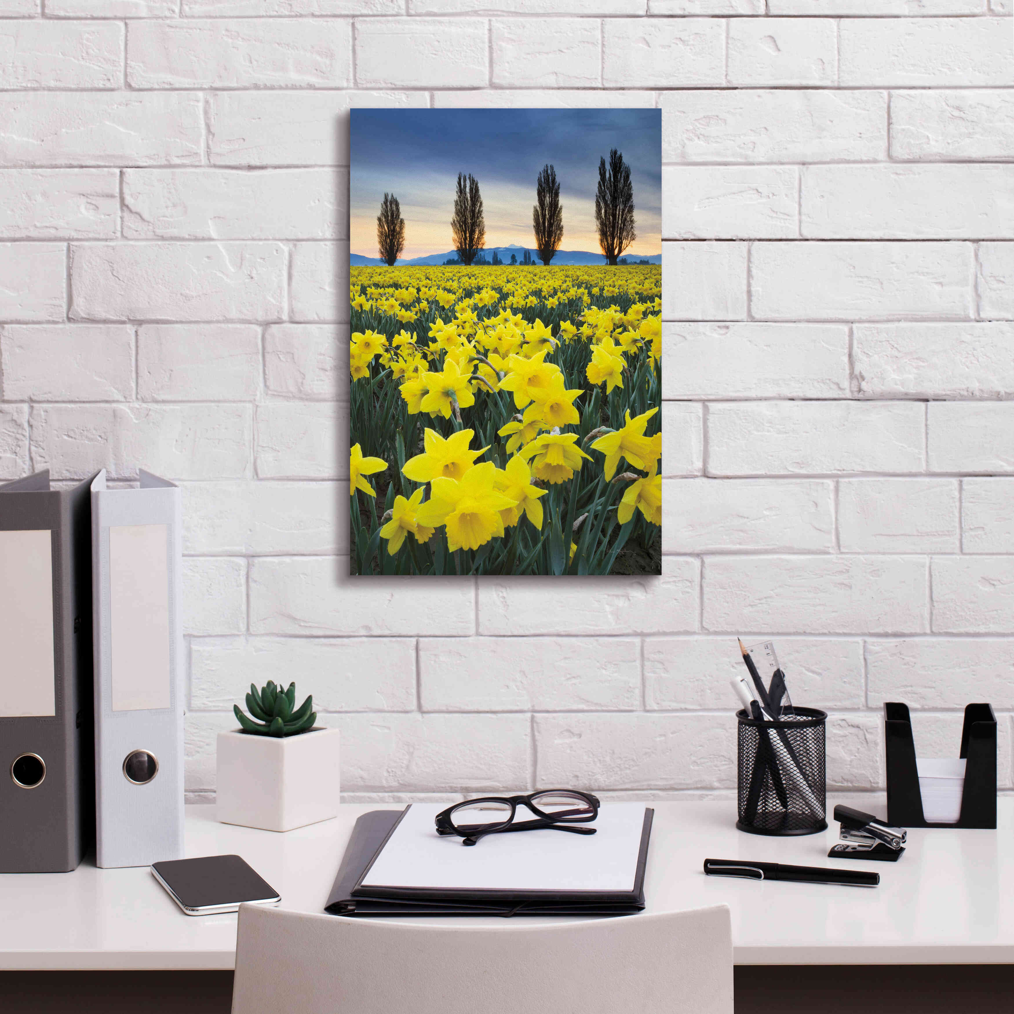 'Skagit Valley Daffodils I' by Alan Majchrowicz,Giclee Canvas Wall Art,12x18