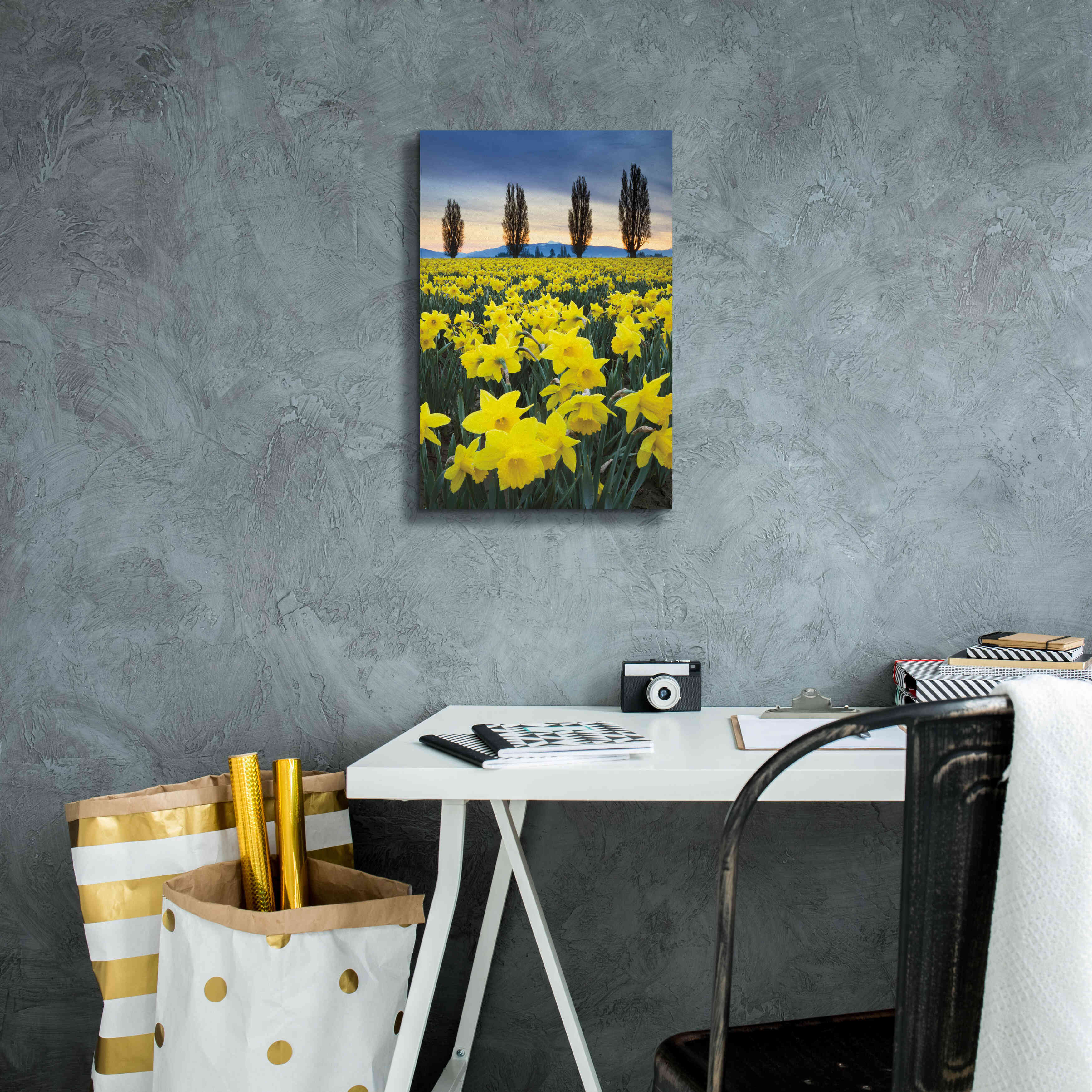'Skagit Valley Daffodils I' by Alan Majchrowicz,Giclee Canvas Wall Art,12x18