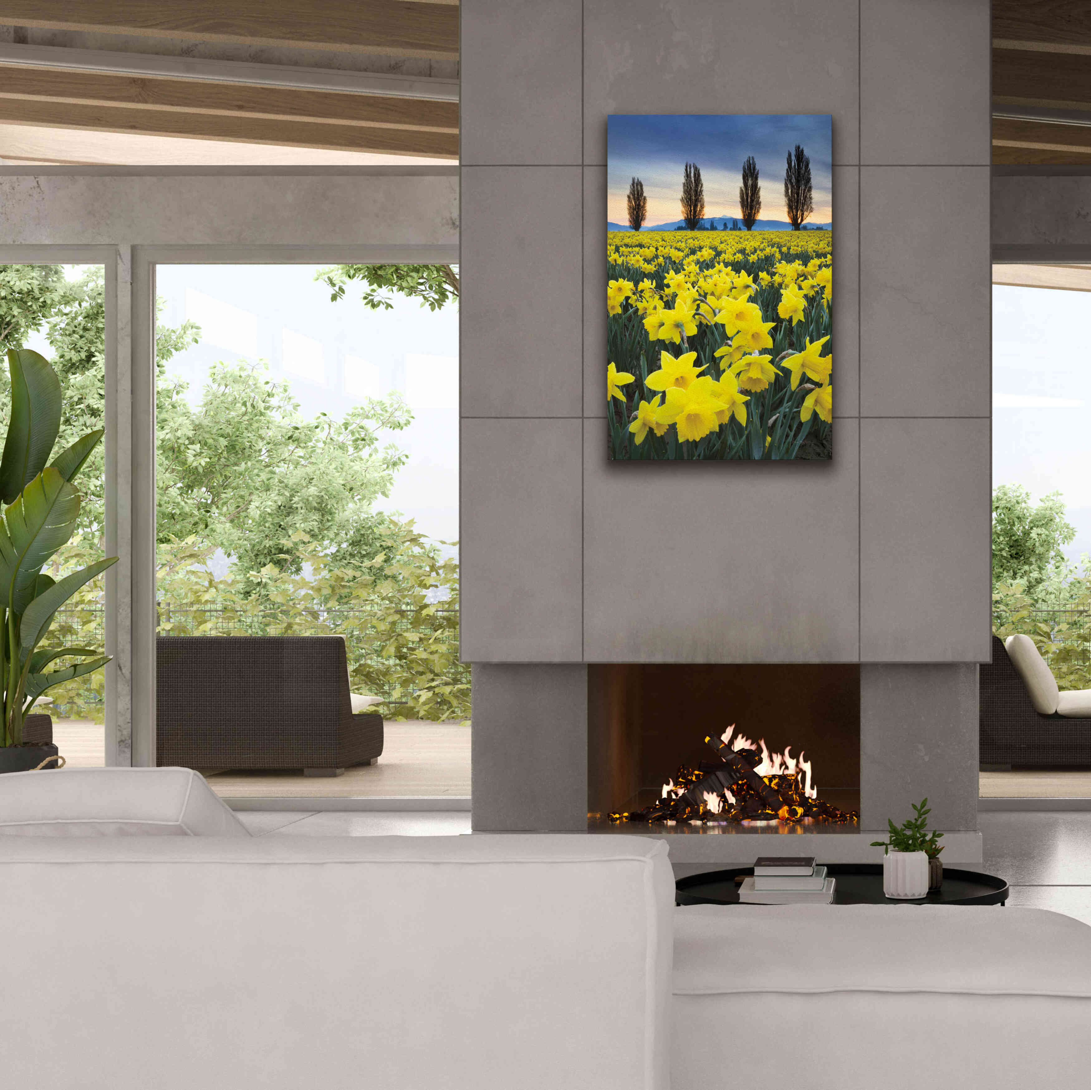 'Skagit Valley Daffodils I' by Alan Majchrowicz,Giclee Canvas Wall Art,26x40