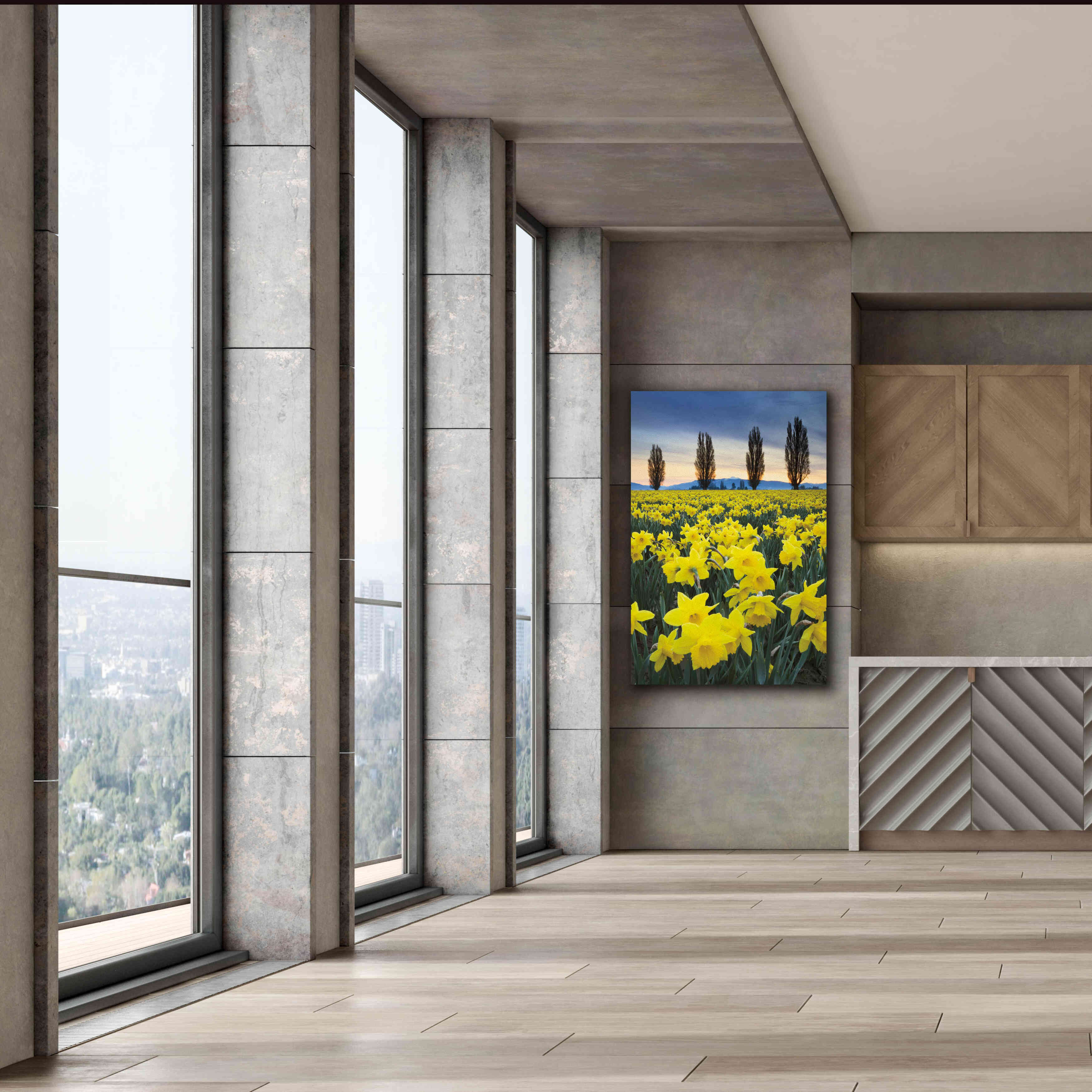 'Skagit Valley Daffodils I' by Alan Majchrowicz,Giclee Canvas Wall Art,40x60
