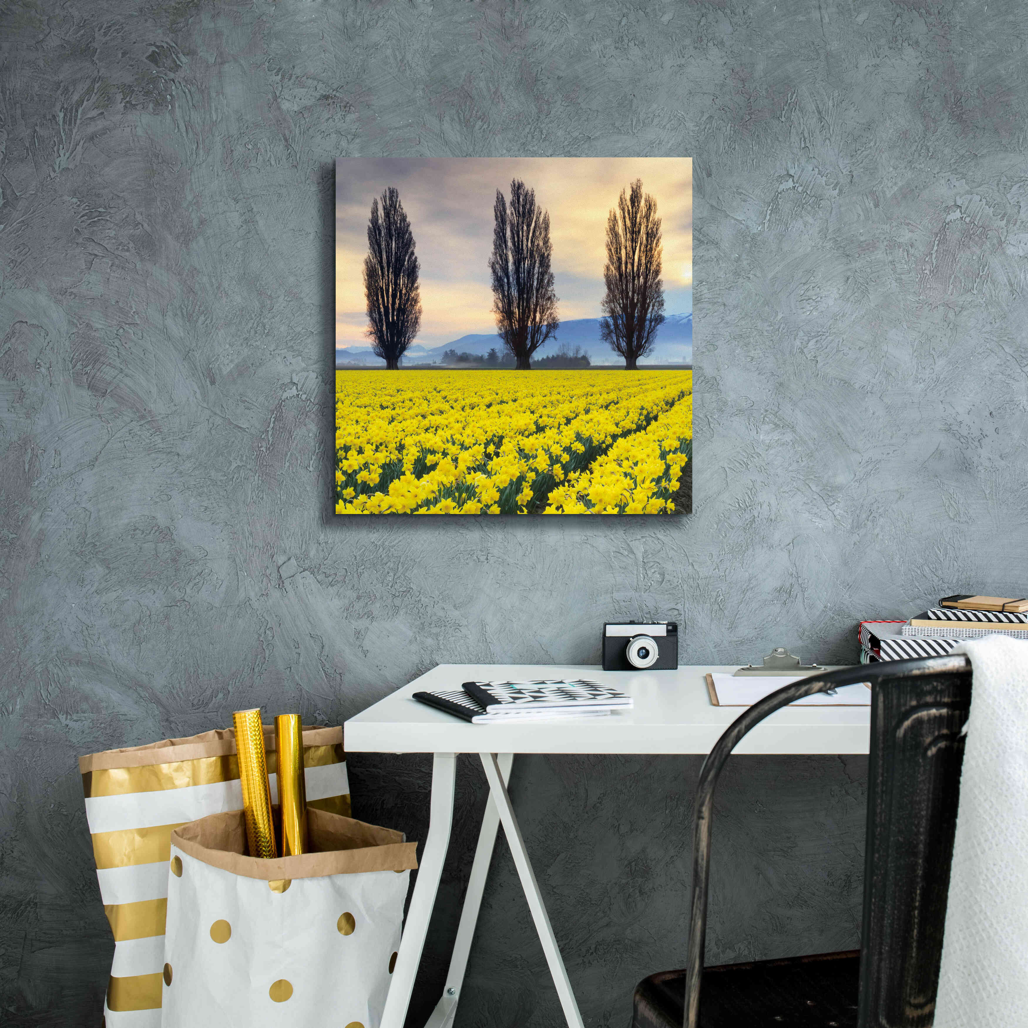 'Skagit Valley Daffodils II' by Alan Majchrowicz,Giclee Canvas Wall Art,18x18