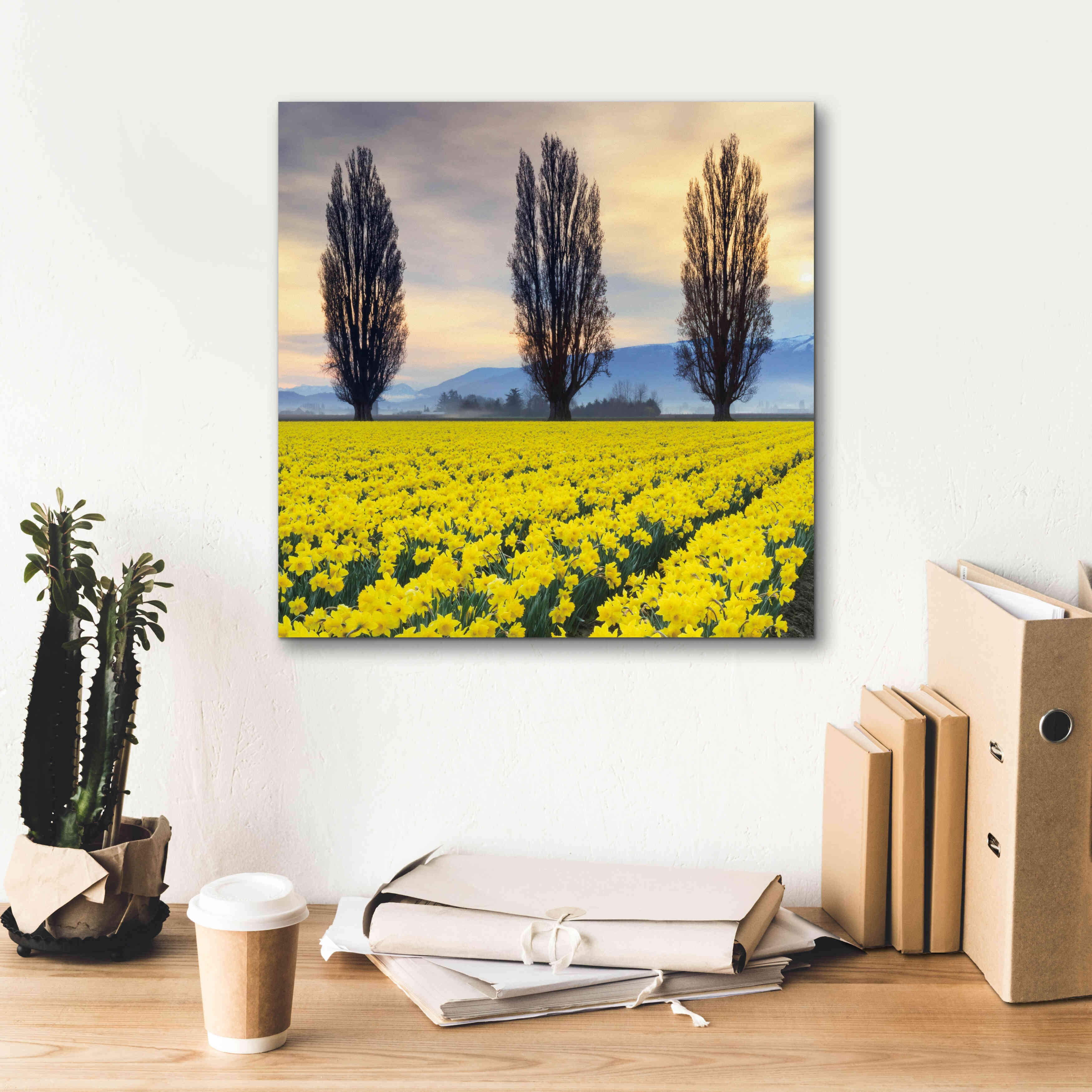 'Skagit Valley Daffodils II' by Alan Majchrowicz,Giclee Canvas Wall Art,18x18