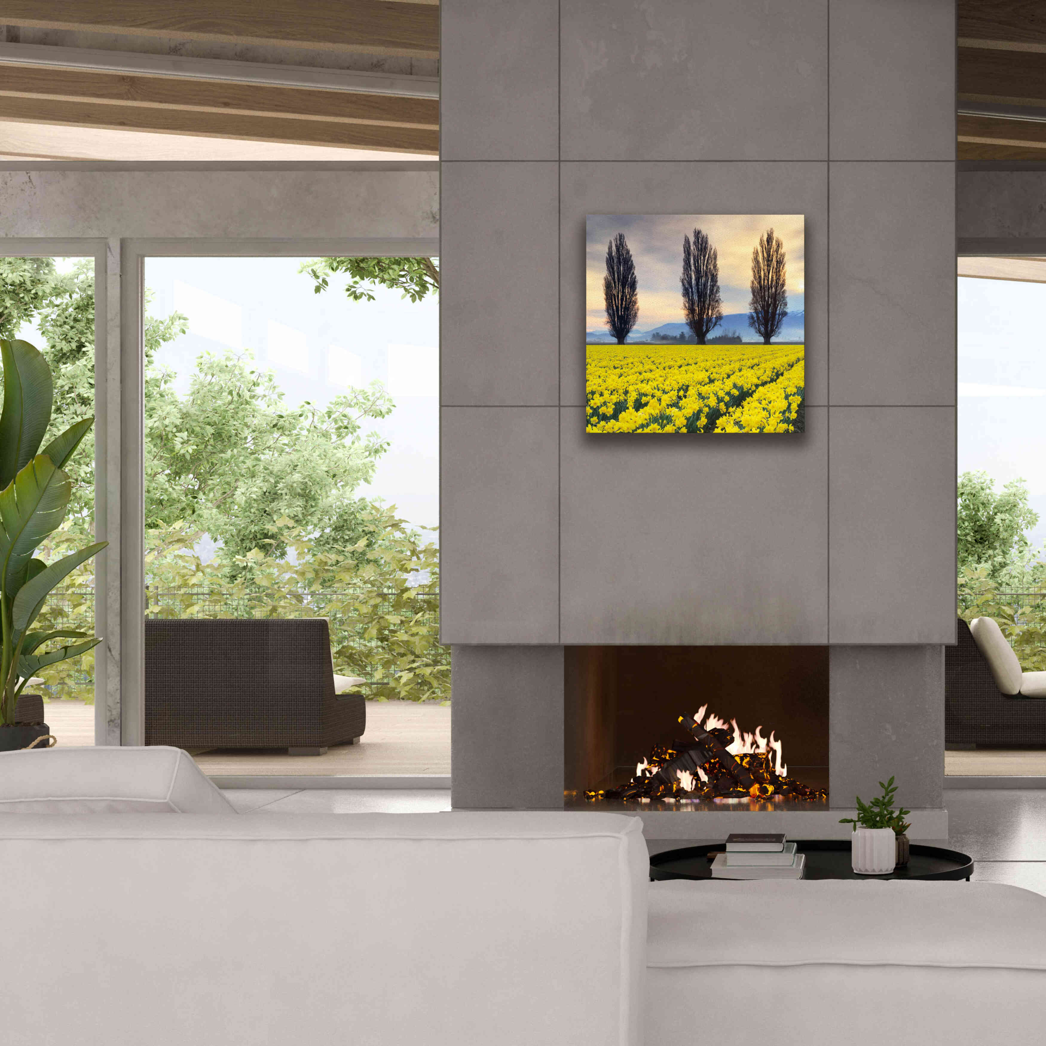 'Skagit Valley Daffodils II' by Alan Majchrowicz,Giclee Canvas Wall Art,26x26