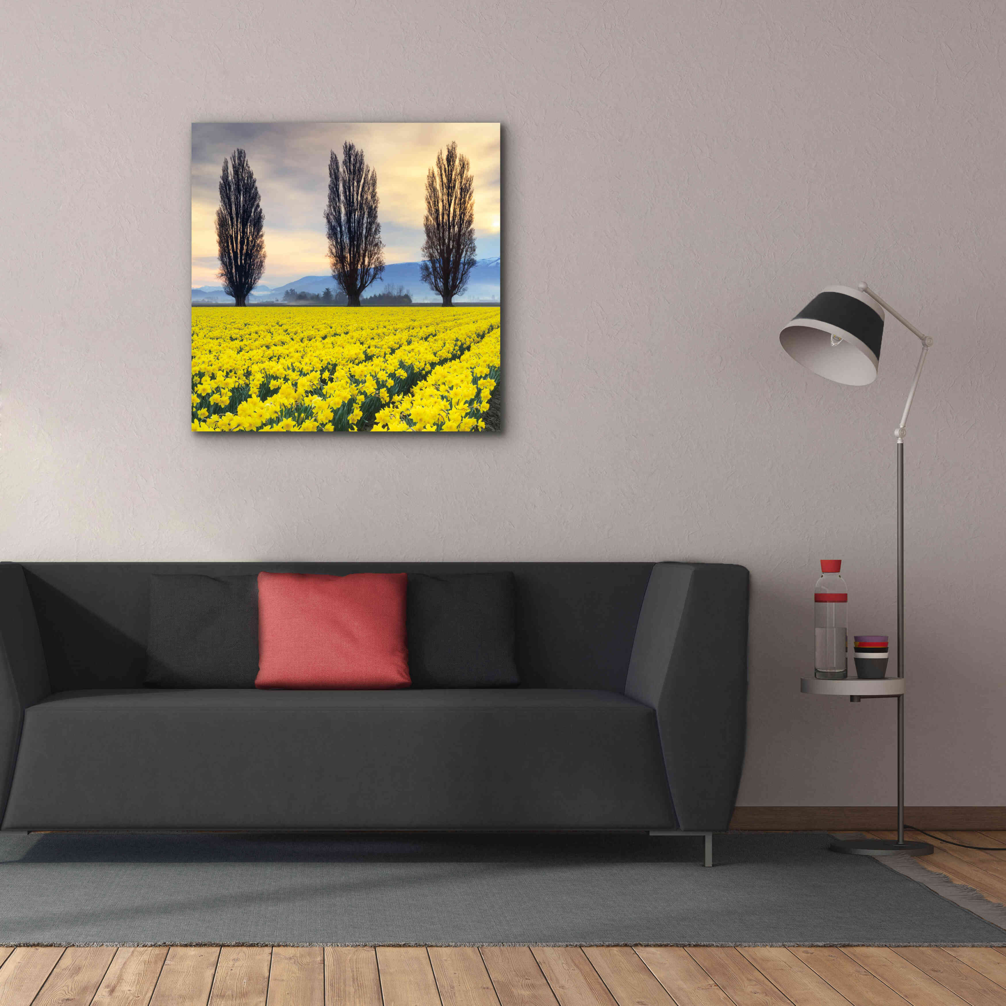 'Skagit Valley Daffodils II' by Alan Majchrowicz,Giclee Canvas Wall Art,37x37
