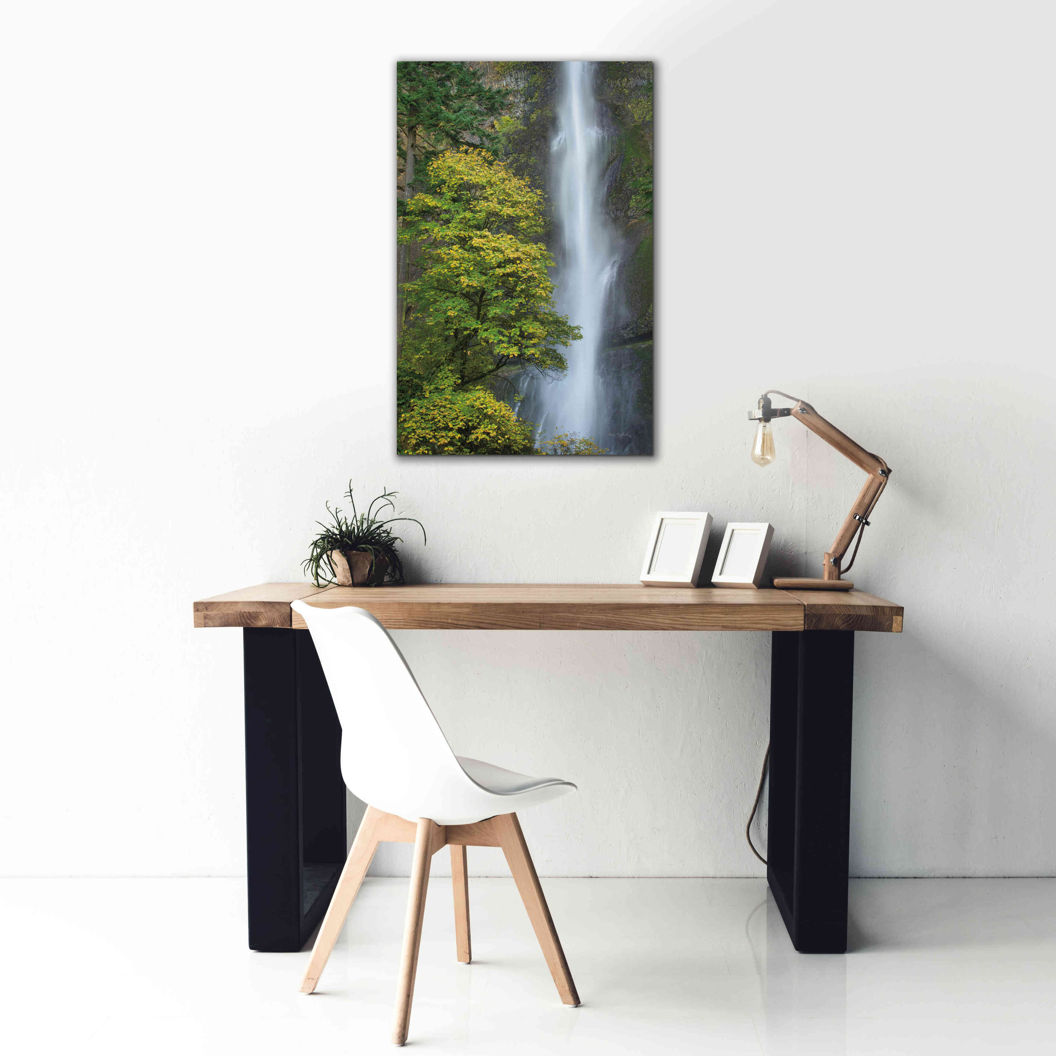'Multnomah Falls color' by Alan Majchrowicz,Giclee Canvas Wall Art,26x40