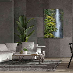 'Multnomah Falls color' by Alan Majchrowicz,Giclee Canvas Wall Art,40x60