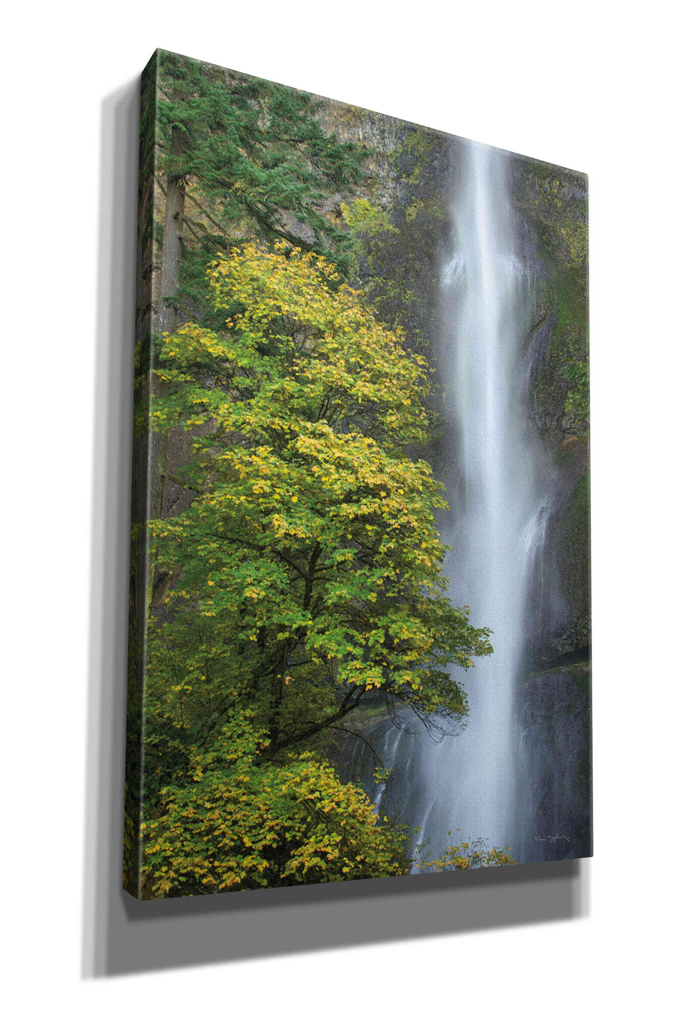 'Multnomah Falls color' by Alan Majchrowicz,Giclee Canvas Wall Art