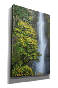 'Multnomah Falls color' by Alan Majchrowicz,Giclee Canvas Wall Art
