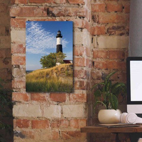 Image of 'Big Sable Point Lighthouse II' by Alan Majchrowicz,Giclee Canvas Wall Art,12x18