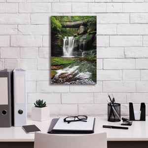'Elakala Falls West I' by Alan Majchrowicz,Giclee Canvas Wall Art,12x18