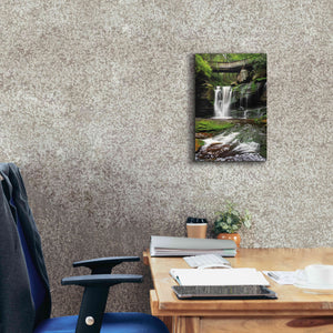 'Elakala Falls West I' by Alan Majchrowicz,Giclee Canvas Wall Art,12x18