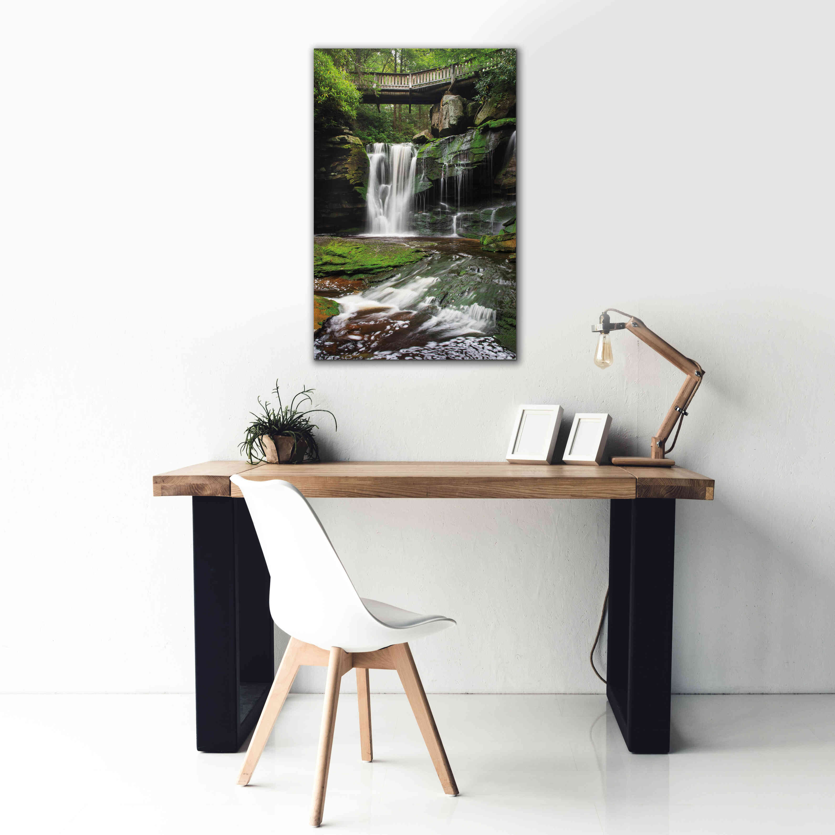 'Elakala Falls West I' by Alan Majchrowicz,Giclee Canvas Wall Art,26x40